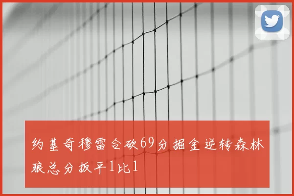 约基奇穆雷合砍69分掘金逆转森林狼总分扳平1比1