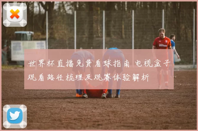 世界杯直播免费看球指南 电视盒子观看路径梳理及观赛体验解析